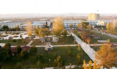 Bir Seğirname örneği