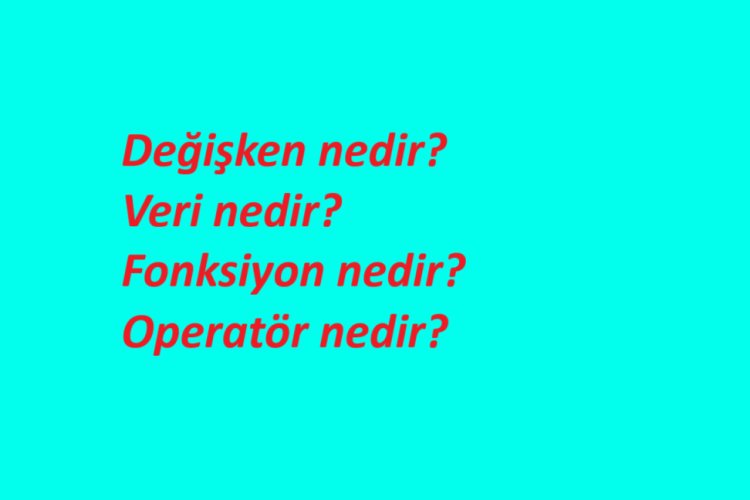 Değişken nedir? Veri nedir? Fonksiyon nedir? Operatör nedir? Açıklayınız