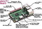 Raspberry Pi Nedir?