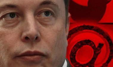 Kuş heykeli, espresso makinesi, "@" sembollü saksı... Hepsini açık artırmayla satıyor!