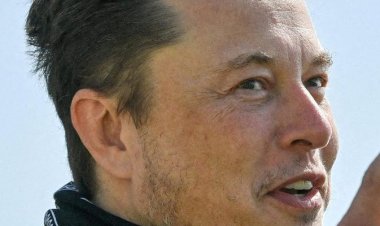 Ünlü isim sordu, takipçileri yanıtladı: "Hangisi daha iyi?"