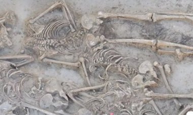 Bilim insanlarını korkutan keşif: Sadece birinin kafası çıktı