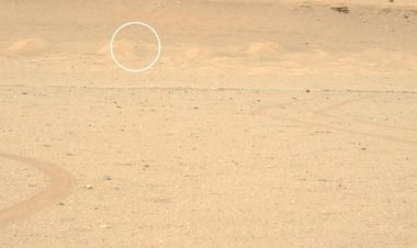 Mars'taki Perseverance, Ingenuity helikopterini fotoğrafladı