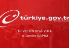 E-Devlet Sistemi