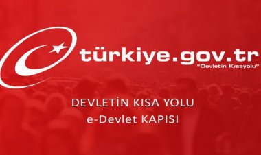 E-Devlet Sistemi