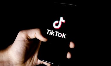 TikTok'a para cezası
