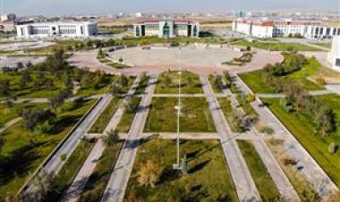 Aksaray Üniversitesi Veteriner Fakültesi iç hastalıkları kliniğine getirilen hastaların retrospektif değerlendirilmesi