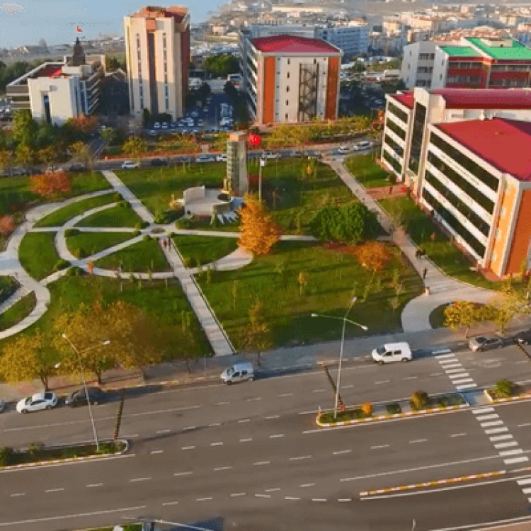 Okul yöneticilerinin örgütsel zekâ ve performans değerlendirme algıları arasındaki ilişki