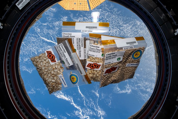 Native American Seeds Flown Aboard Space Station