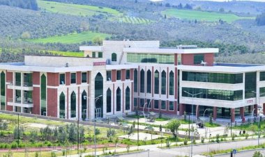 Bilgi ve iletişim teknolojileri (BİT) ile ekonomik büyüme arasındaki ilişki: Türkiye için ekonometrik bir analiz