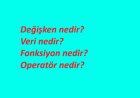 Değişken nedir? Veri nedir? Fonksiyon nedir? Operatör nedir? Açıklayınız