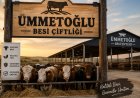 Bodrum kurbanlık satışı